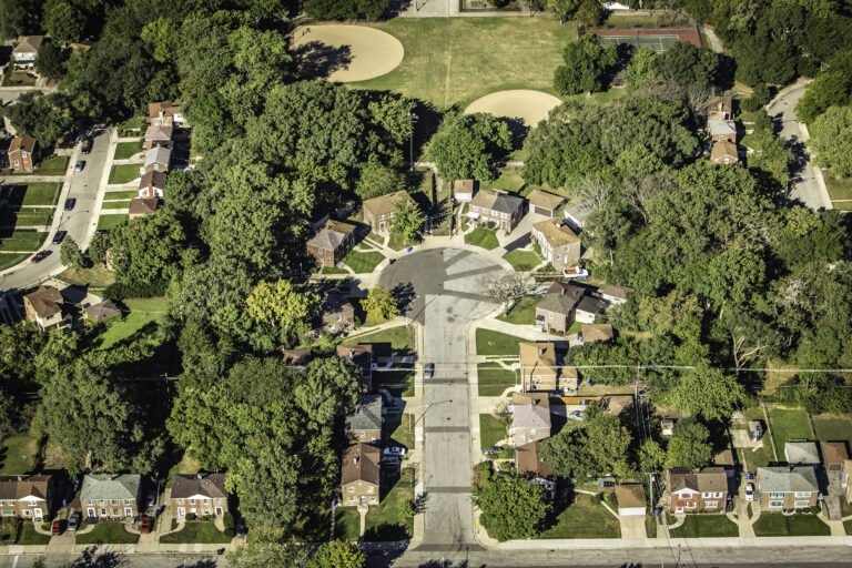 Overgrown Trees Are Destroying Your Home’s Foundation: What Tree Trimming Can Save